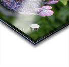 Penny Mac Acrylic print