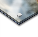 Regal Reverie Acrylic print