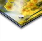  SBP6404 Acrylic print