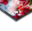  SBP7969 Acrylic print