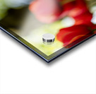 SBP6265 Acrylic print