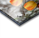 SBP8316 Acrylic print