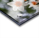 SBP5823 Acrylic print