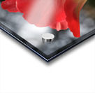 Happy One Acrylic print