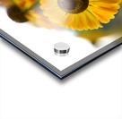 A Beautiful Day Acrylic print