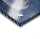 Frozen Top Acrylic print