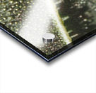 Leaf with Morning Dew Acrylic print