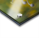 Pretty Lovely Acrylic print