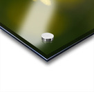 Golden One Acrylic print