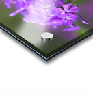 Pretty Purple Bouquet Acrylic print