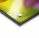 Freshness Overload Acrylic print