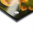 Wonderful Day Acrylic print