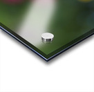 Soothing Space Acrylic print