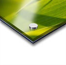 Here Comes the Sun Acrylic print