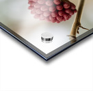 Powder Puff Buds Acrylic print