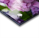 Awesome Pink Acrylic print