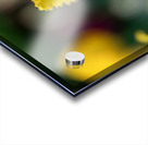 Call Me Fabiola Acrylic print