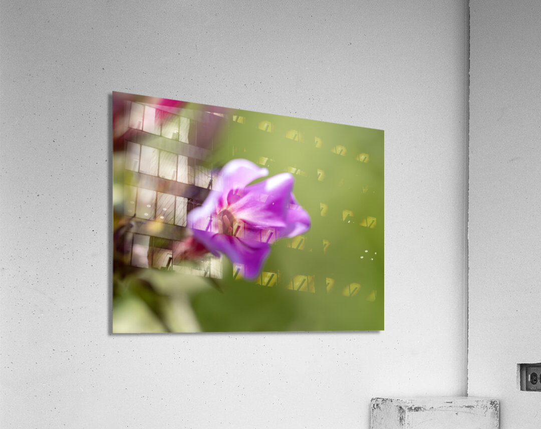 Good Day Acrylic Print