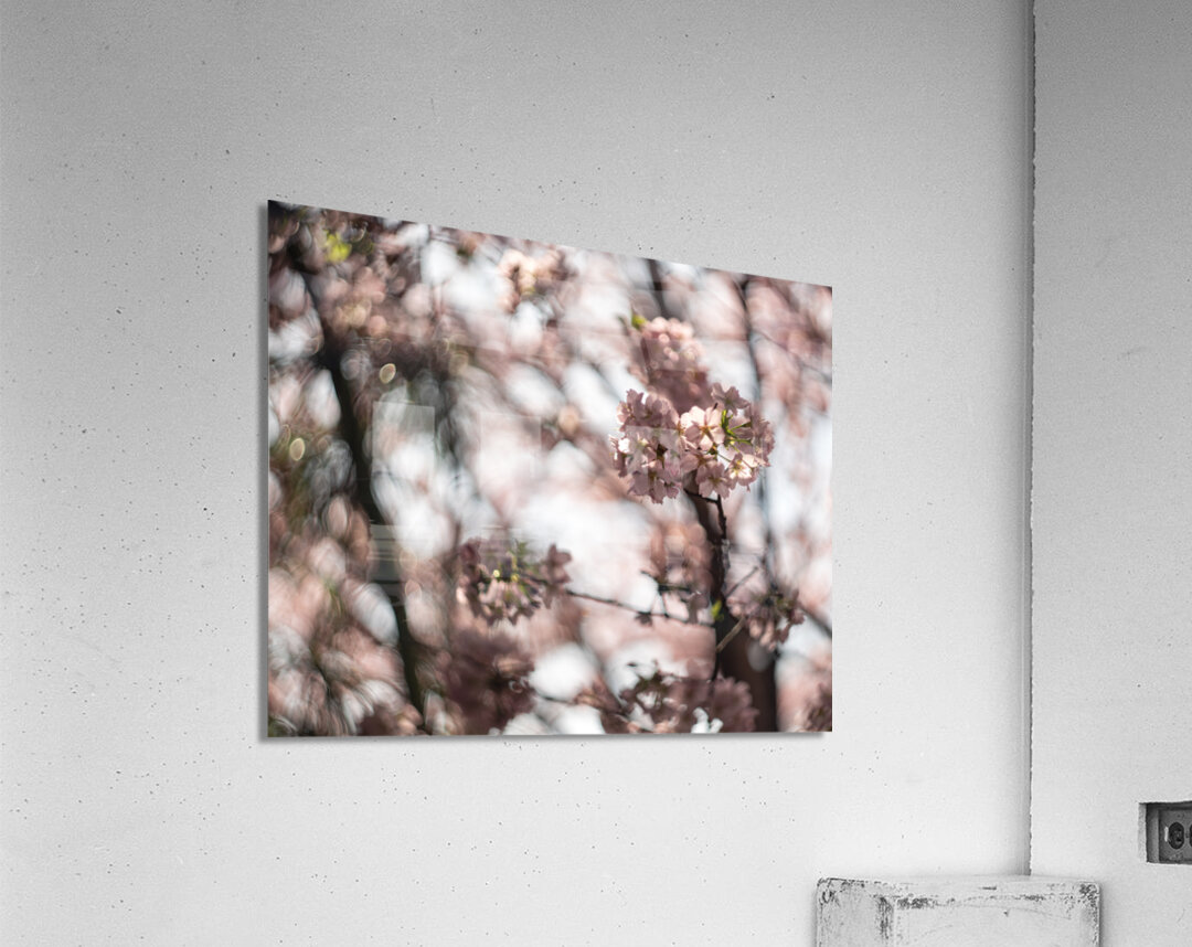 Sunny Serenity Acrylic Print