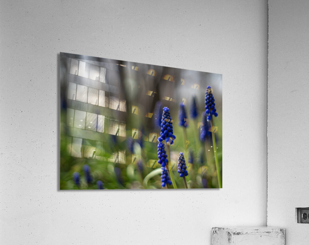 Paradise Perfection Acrylic Print