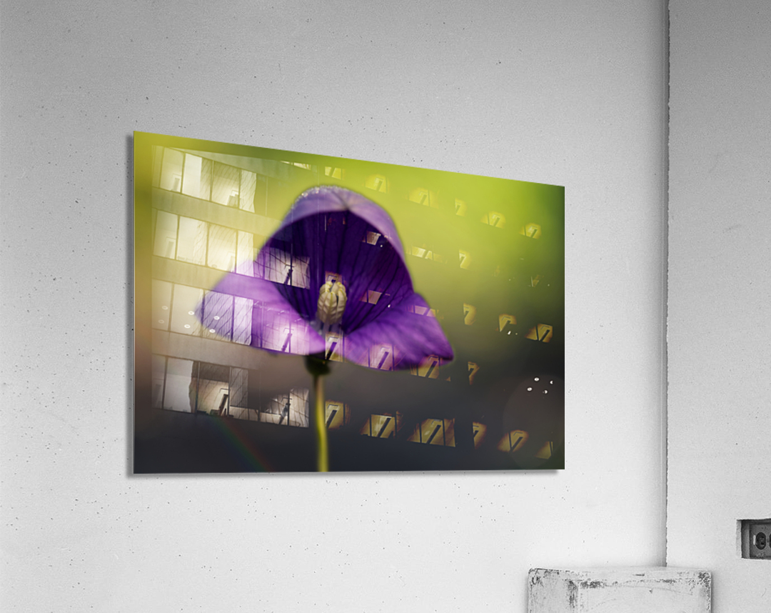 Welcome Acrylic Print