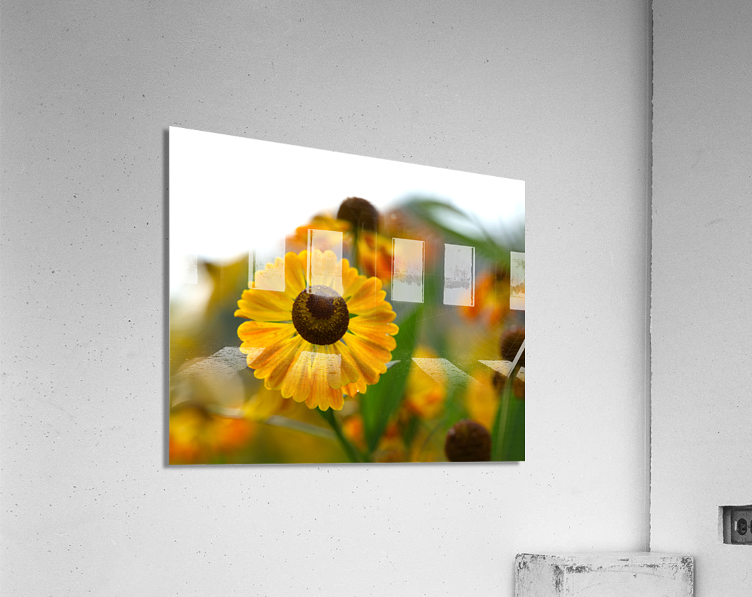A Beautiful Day Acrylic Print