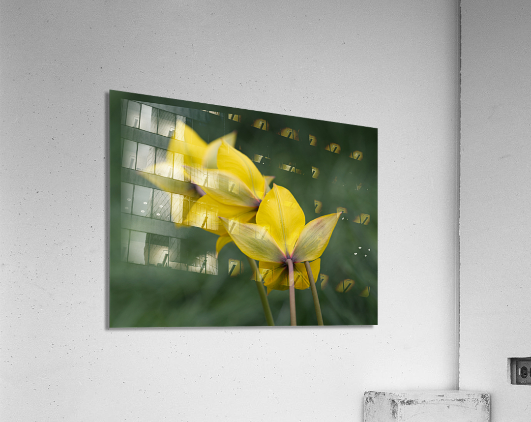 Spring Forward Acrylic Print