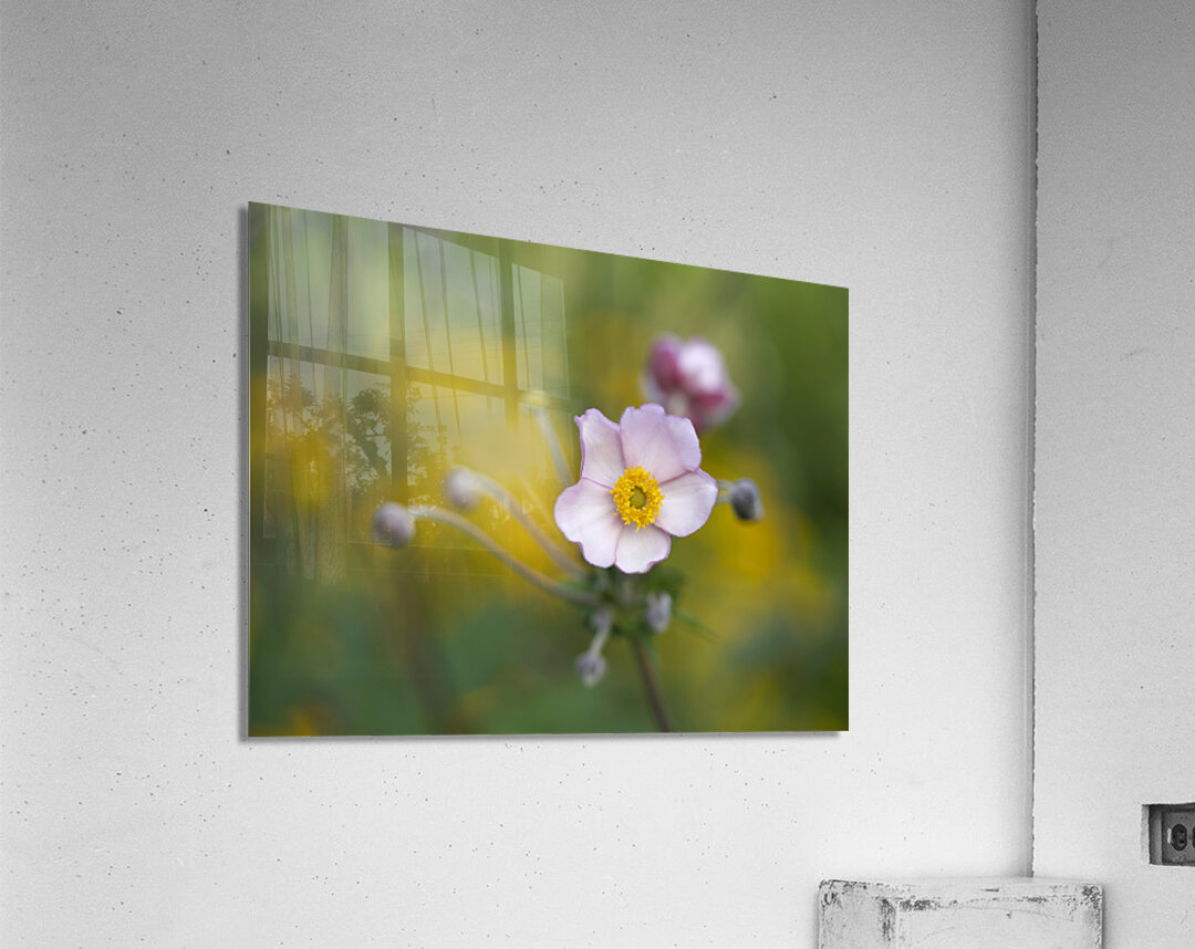 Pretty Lovely Acrylic Print