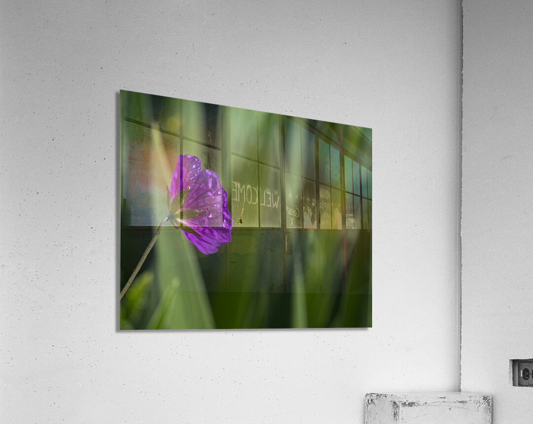 Purple Pretty Acrylic Print