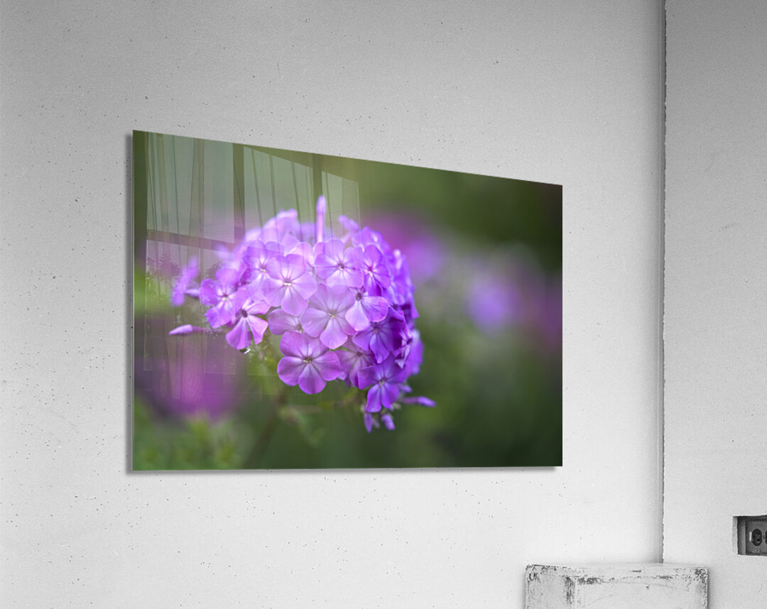 Pretty Purple Bouquet Acrylic Print