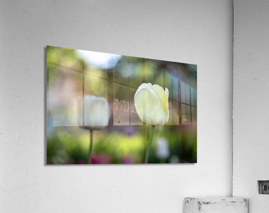 Pure and Simple Acrylic Print