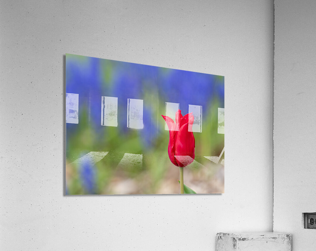 Me Myself I Acrylic Print