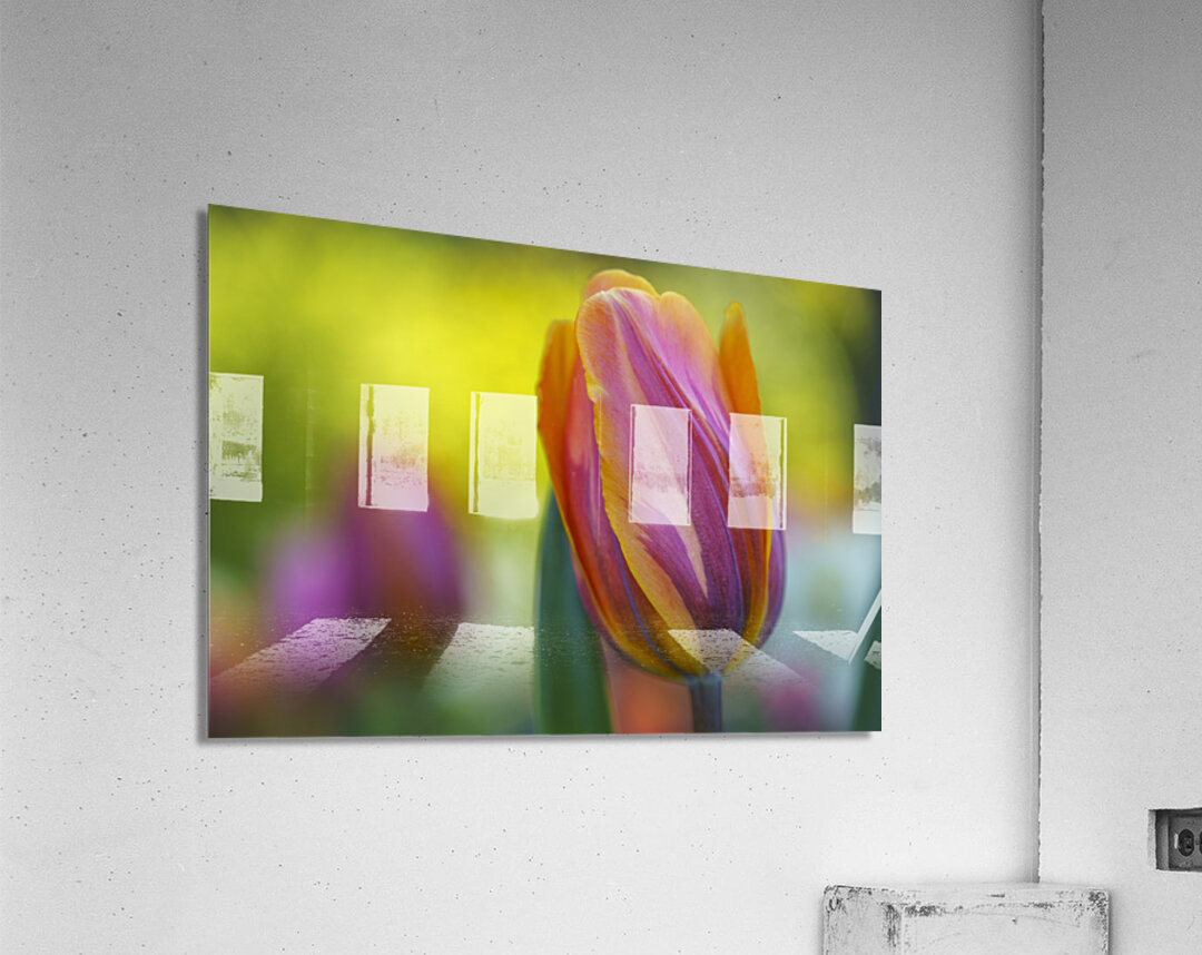 Freshness Overload Acrylic Print