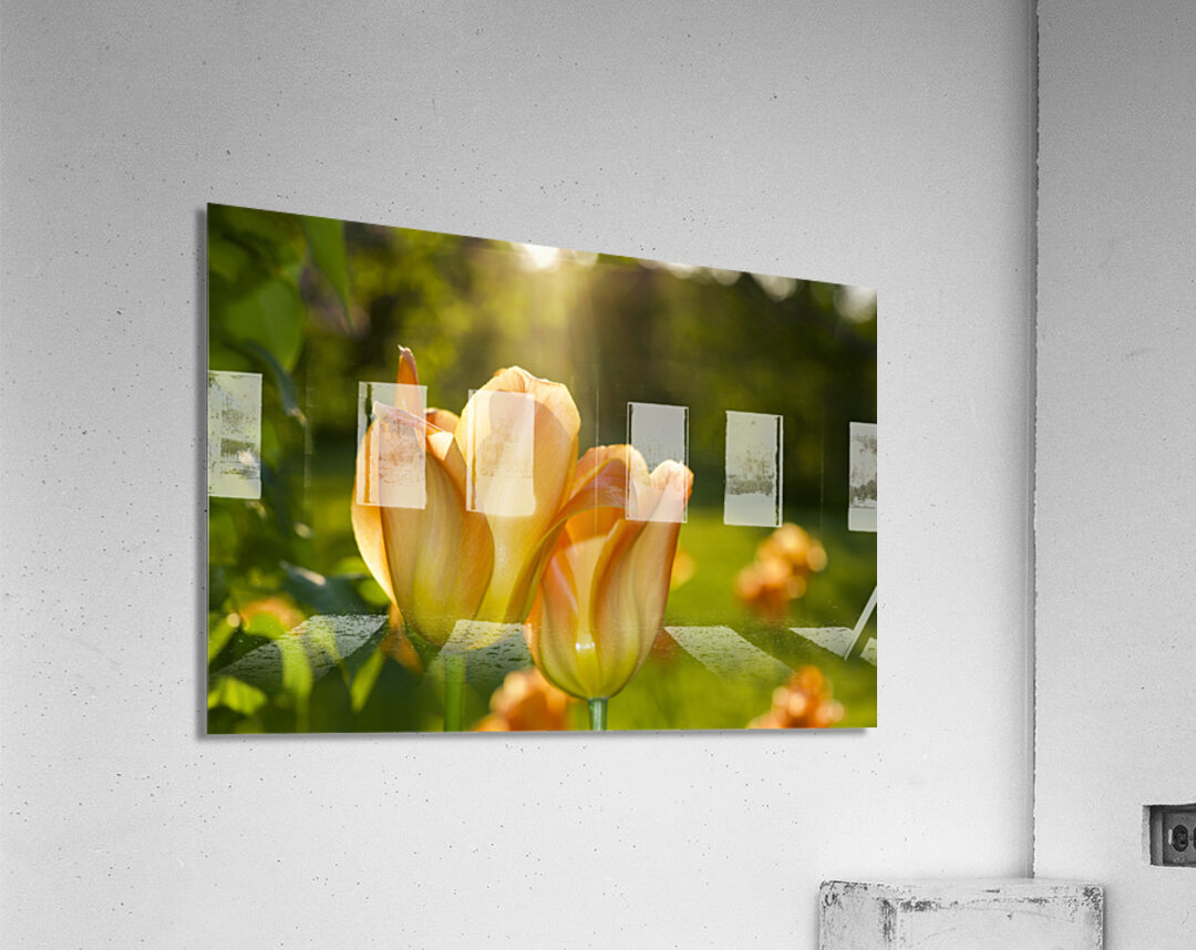 Glorious Day Acrylic Print