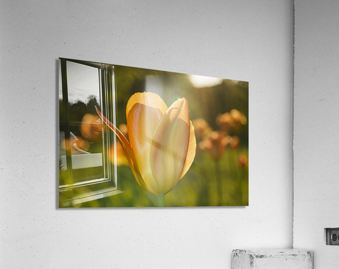 Wonderful Day Acrylic Print