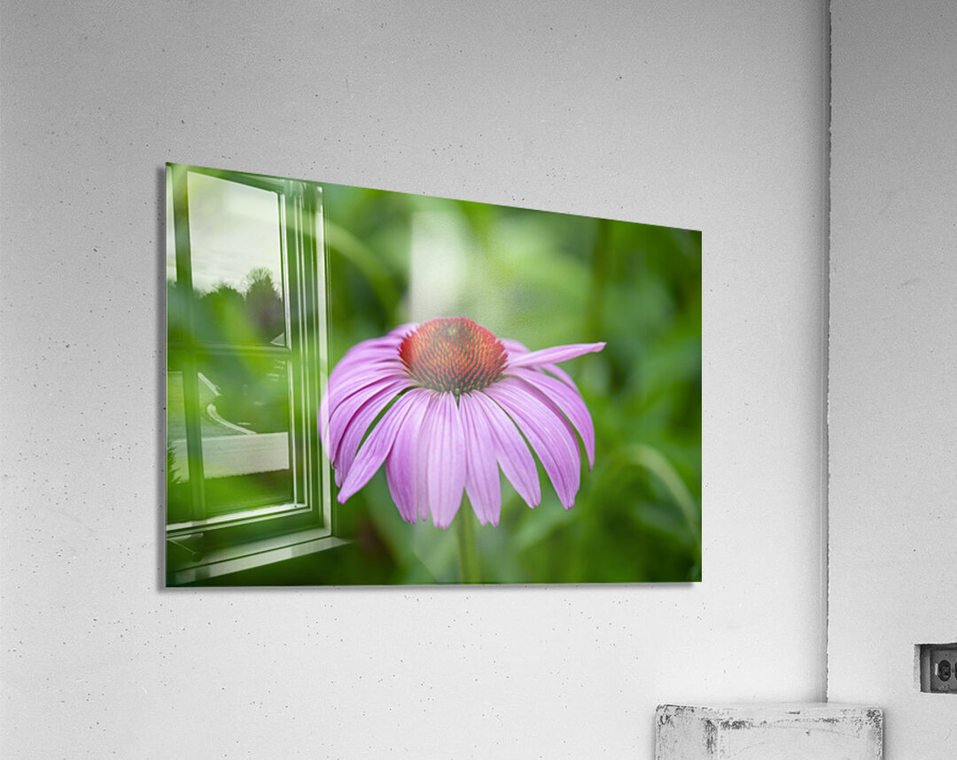 Ruby Star Acrylic Print