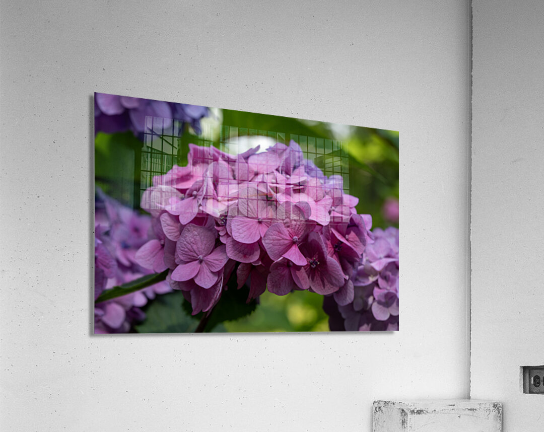 Awesome Pink Acrylic Print