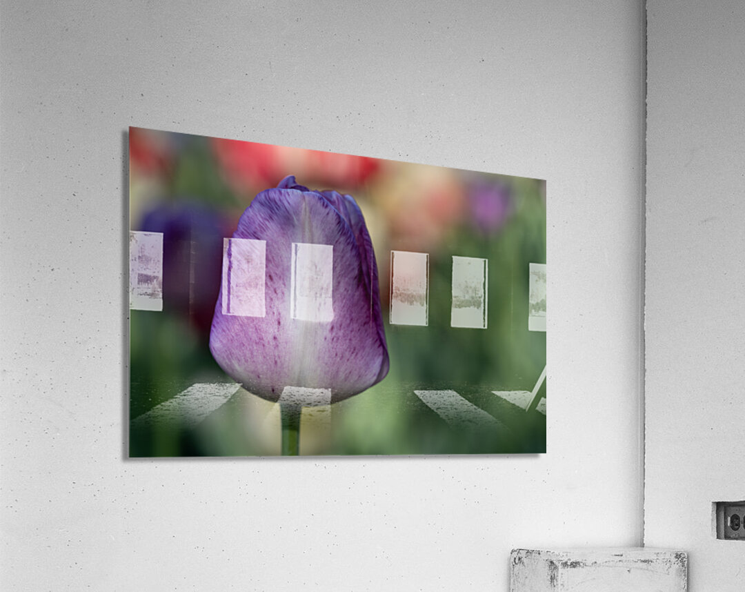 Purple Muse Acrylic Print