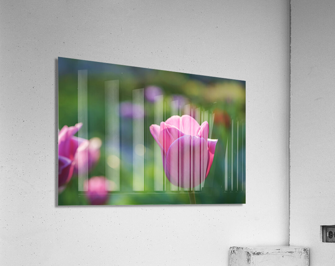 Peace Lady Acrylic Print