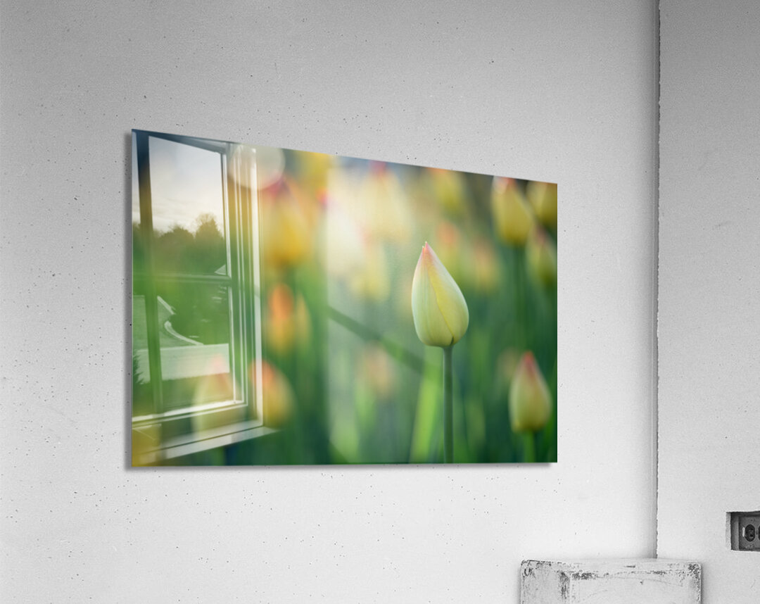 Pretty Field Acrylic Print