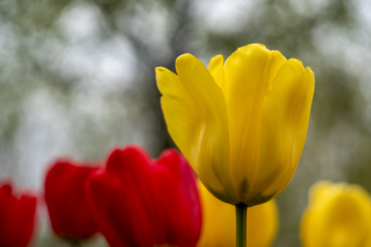 Impression de cadre personnalisé