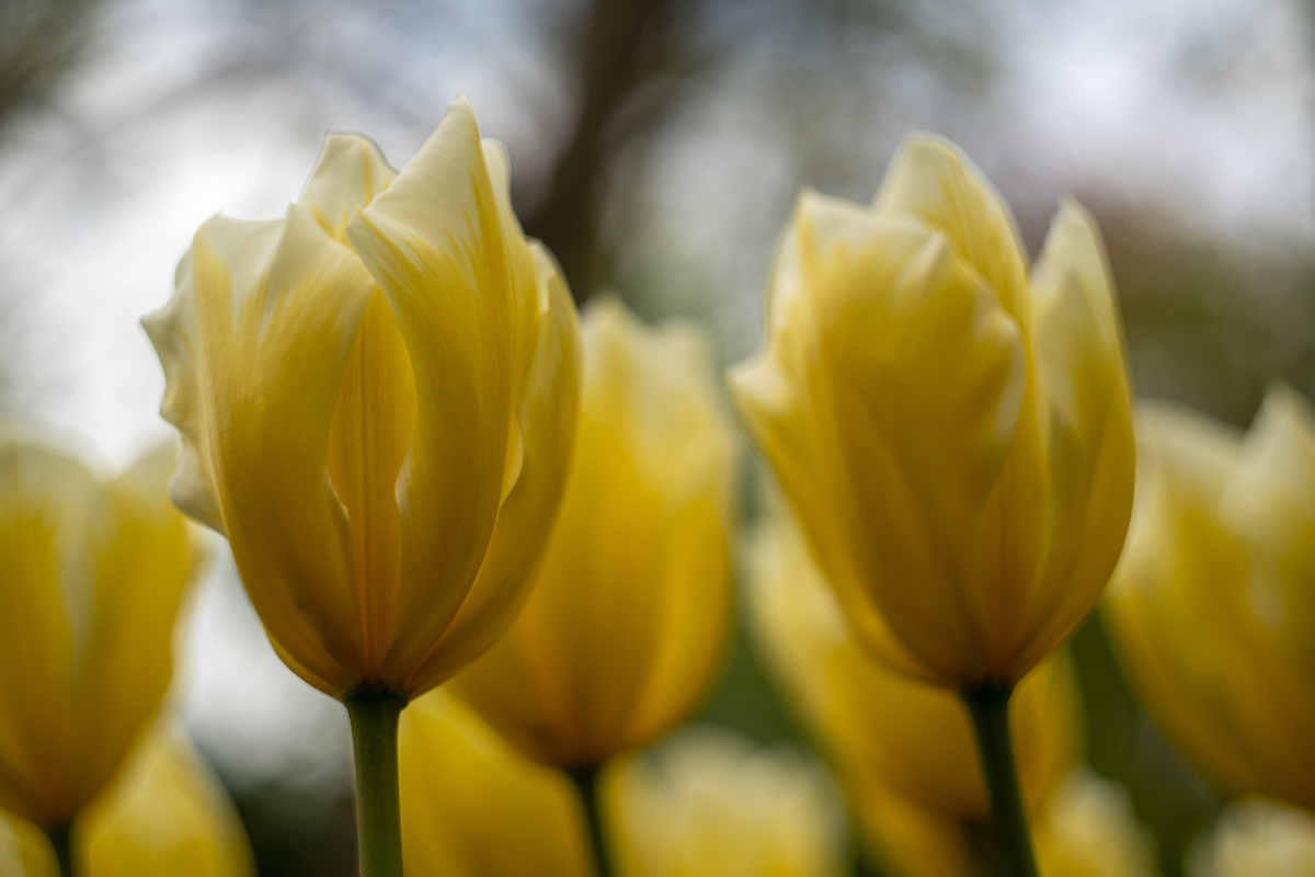 Impression de cadre personnalisé