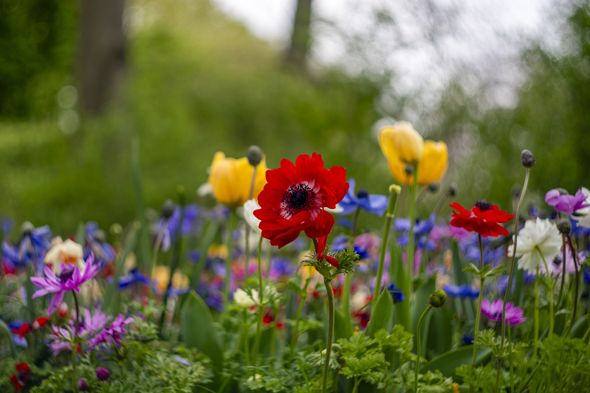 Impression de cadre personnalisé