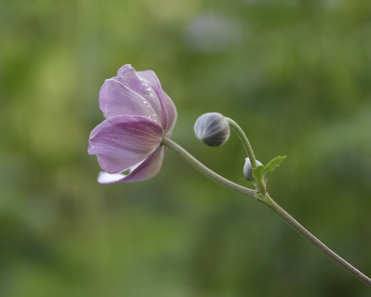 Impression de cadre personnalisé
