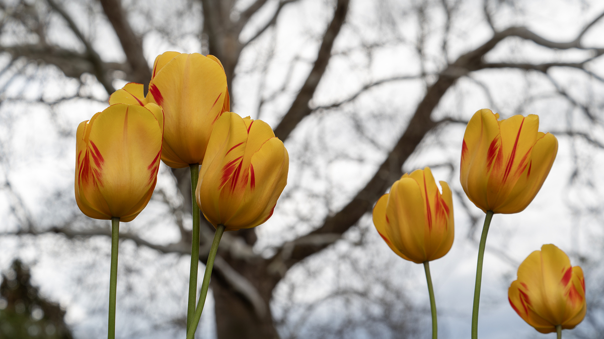 Impression de cadre personnalisé