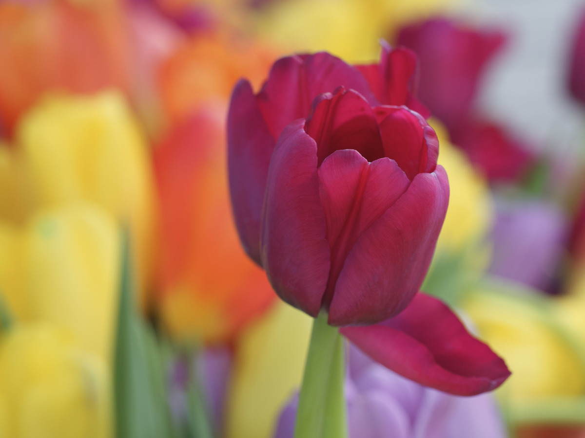 Impression de cadre personnalisé