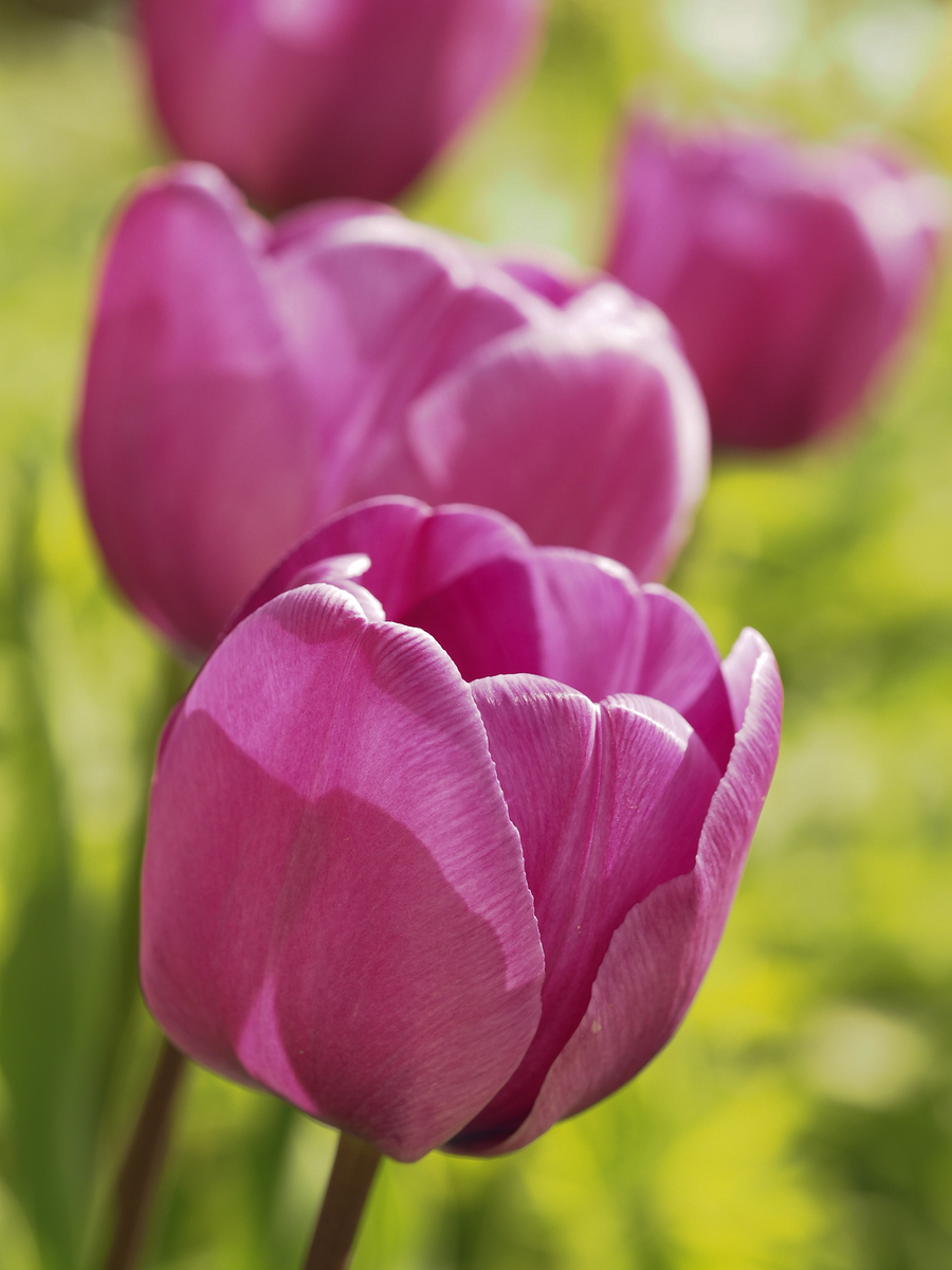 Impression de cadre personnalisé