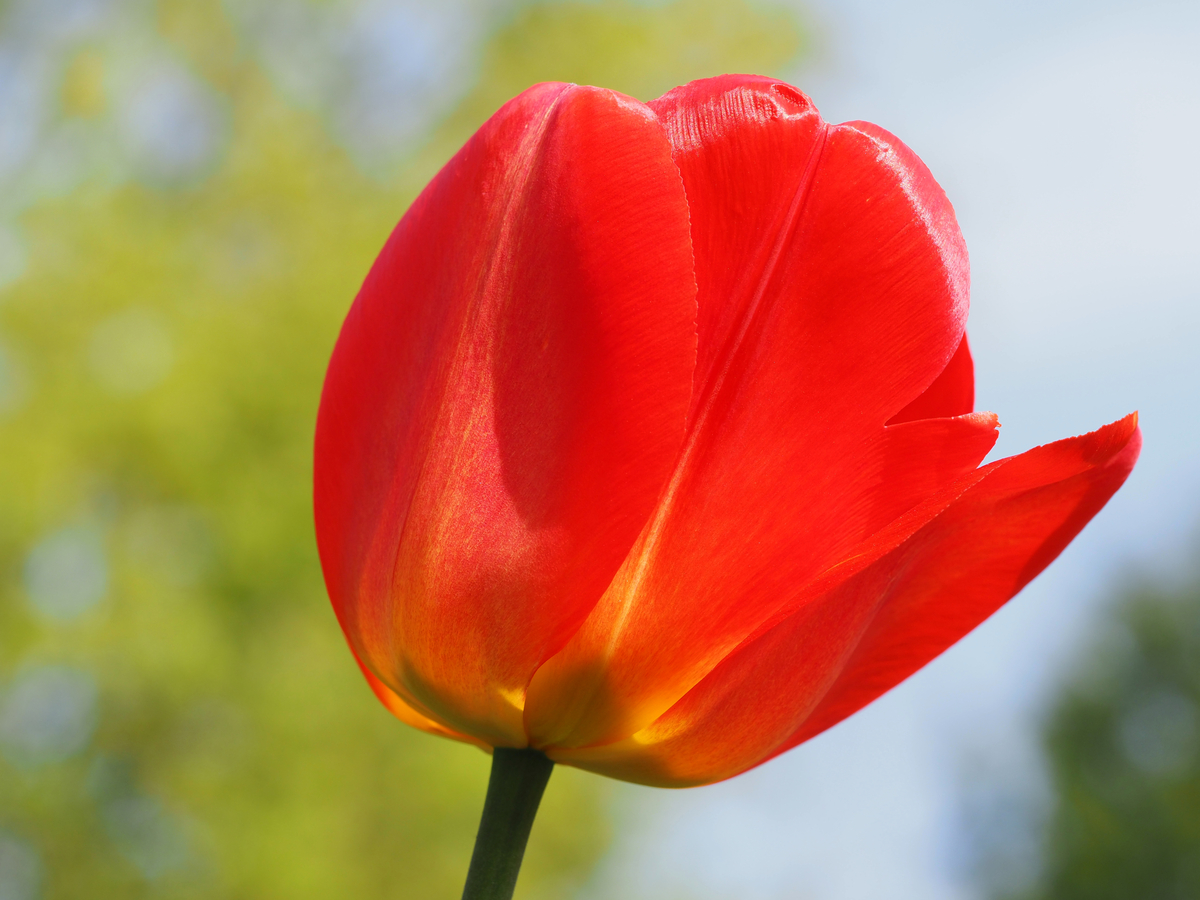 Impression de cadre personnalisé