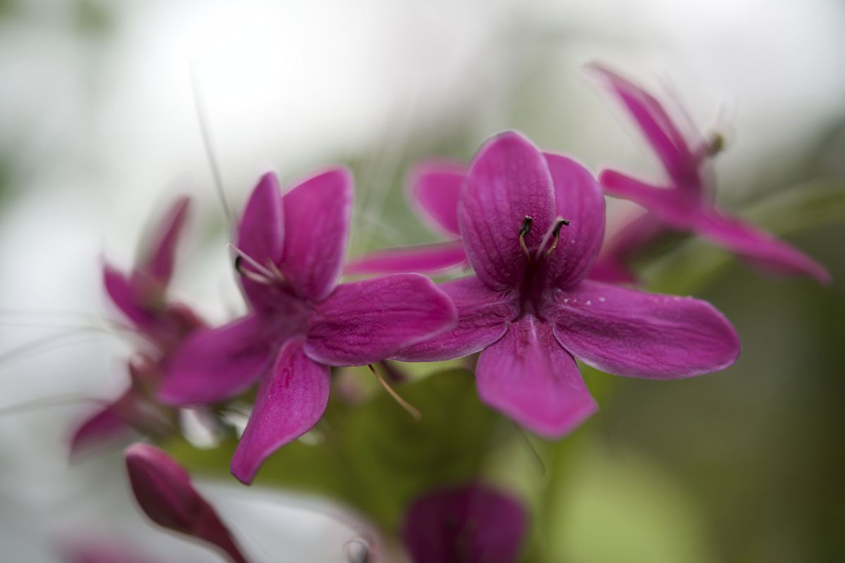 Impression de cadre personnalisé