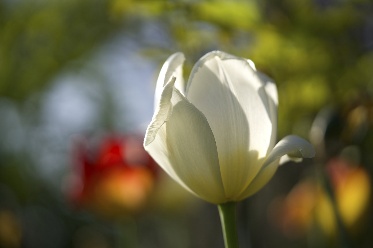 Impression de cadre personnalisé